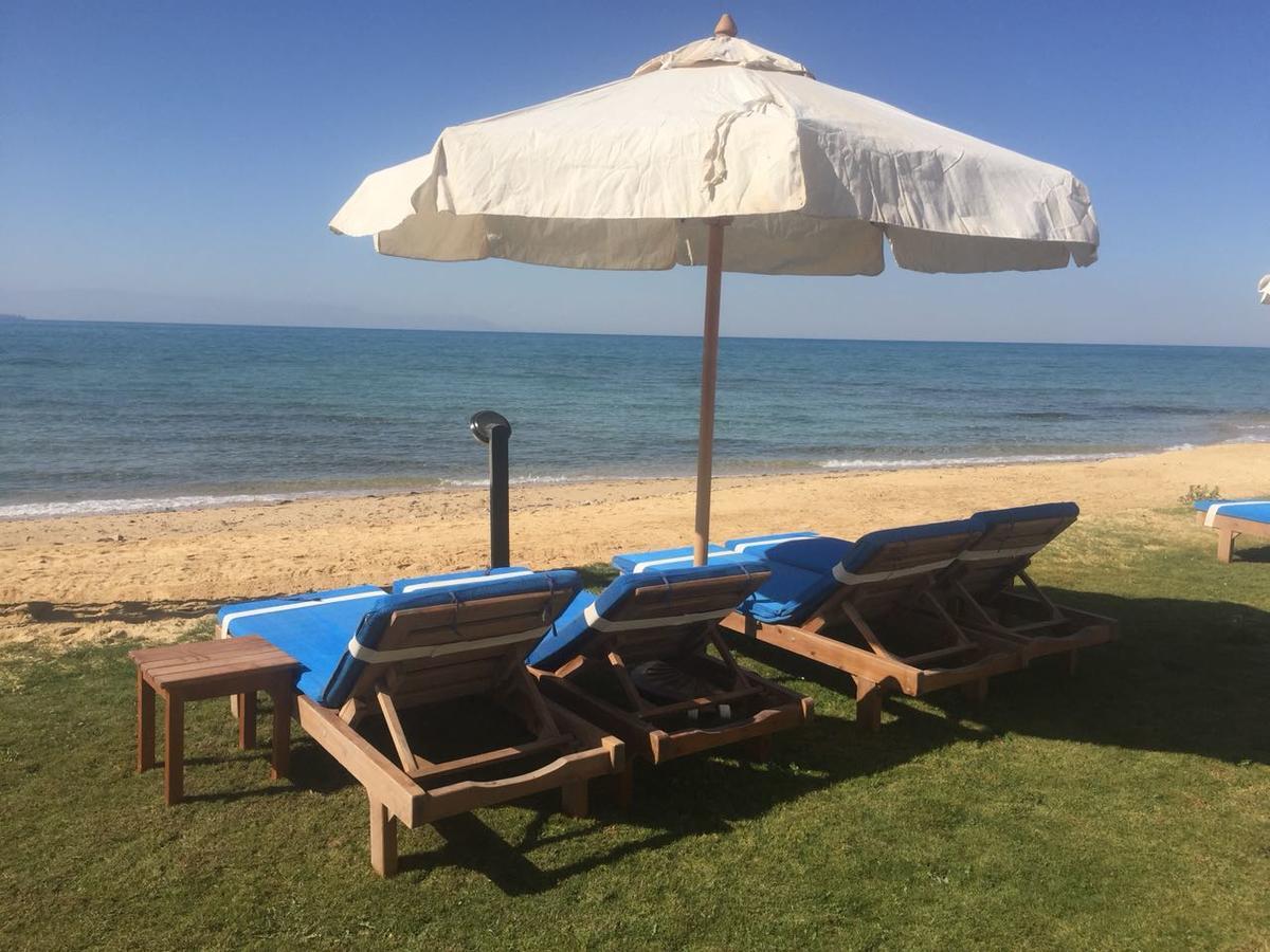 منتجع Palm Safari Egypt 4*